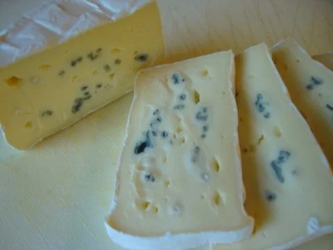 Käsesinfonie mit Lauch & Hack - Rezept - Bild Nr. 4