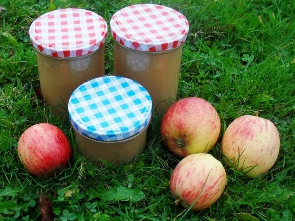 Apfelmus - Rezept - Bild Nr. 3