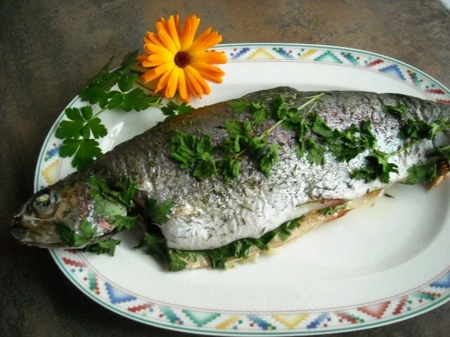 Lachsforelle - Rezept - Bild Nr. 2