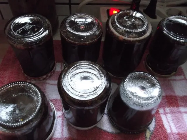 Rezept: Wintergelee Bild Nr. 12 Wintergelee - Rezept - Bild Nr. 12