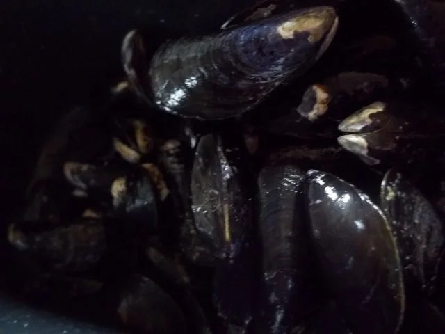 Muschelpfanne - Rezept - Bild Nr. 2