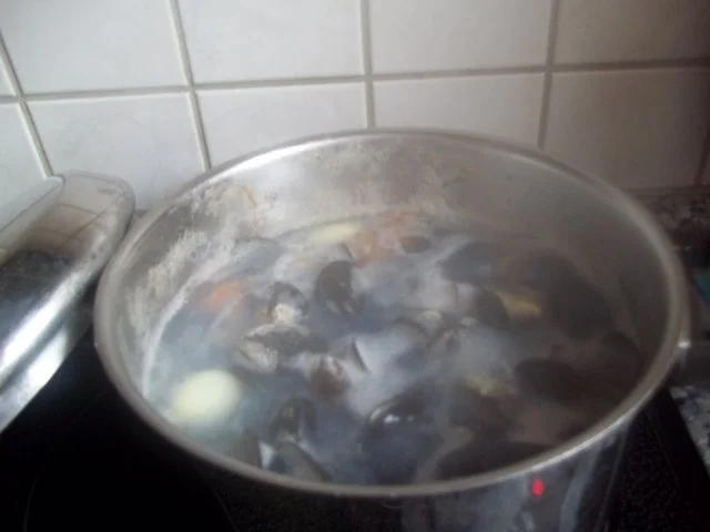 Muschelpfanne - Rezept - Bild Nr. 4