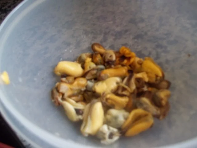 Muschelpfanne - Rezept - Bild Nr. 6