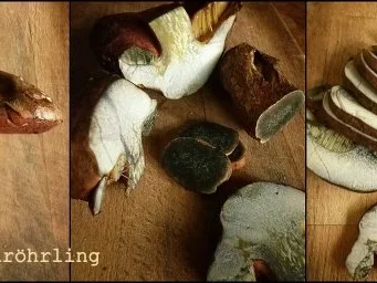 Rezept: Pilz-Schmarrn mit Karottensoße Bild Nr. 2 Pilz-Schmarrn mit Karottensoße - Rezept - Bild Nr. 2