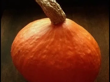 Gratinierte Stampfkartoffeln mit Hokkaido und Feta dazu Petersilienöl - Rezept - Bild Nr. 2