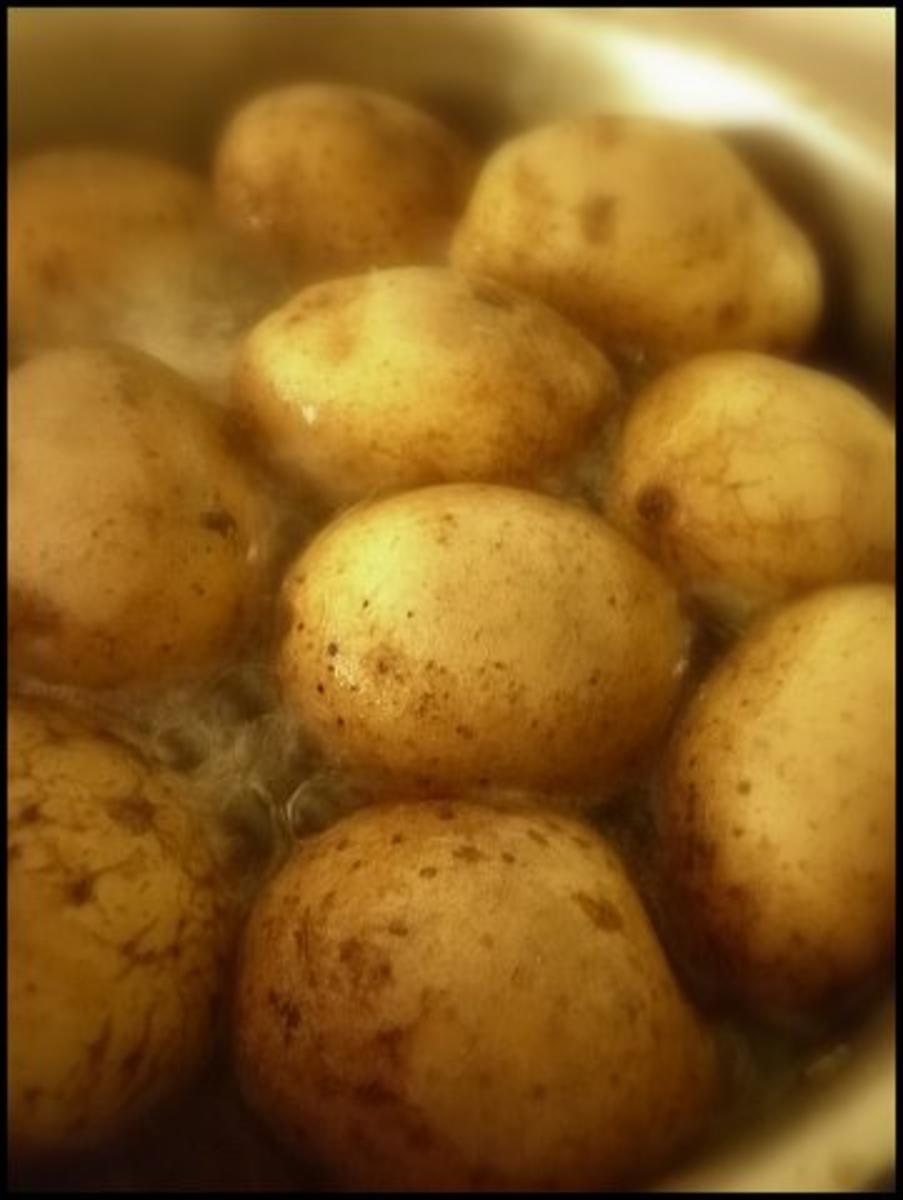 Gratinierte Stampfkartoffeln mit Hokkaido und Feta dazu Petersilienöl - Rezept - Bild Nr. 4