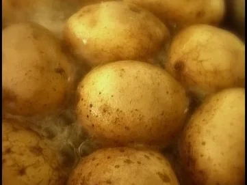 Gratinierte Stampfkartoffeln mit Hokkaido und Feta dazu Petersilienöl - Rezept - Bild Nr. 4