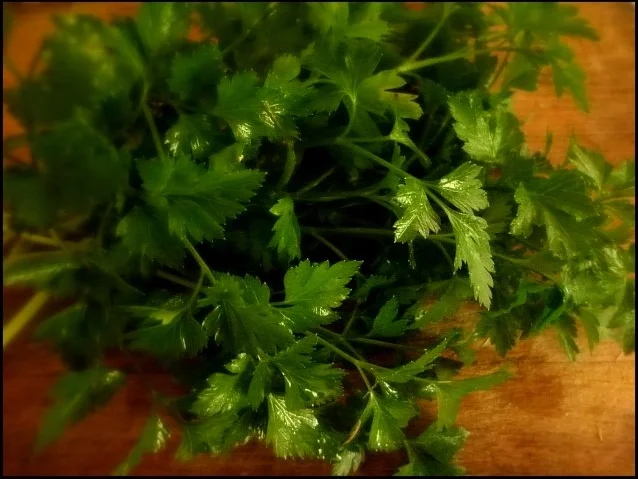 Gratinierte Stampfkartoffeln mit Hokkaido und Feta dazu Petersilienöl - Rezept - Bild Nr. 8