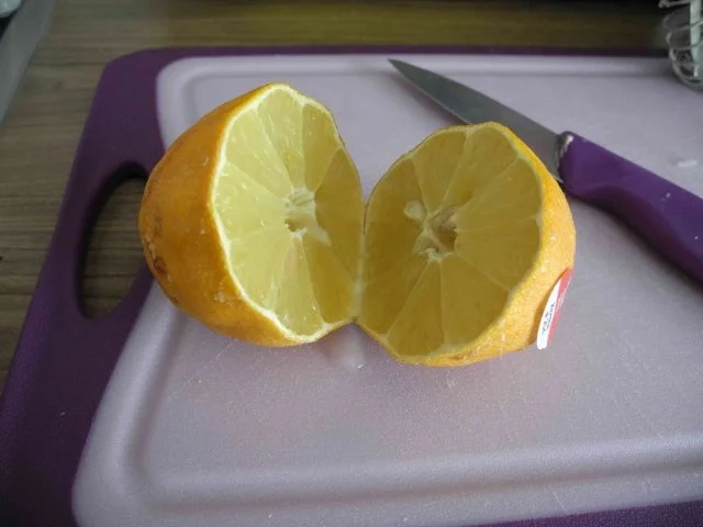 Vegan : Obstsalat - Rezept - Bild Nr. 9