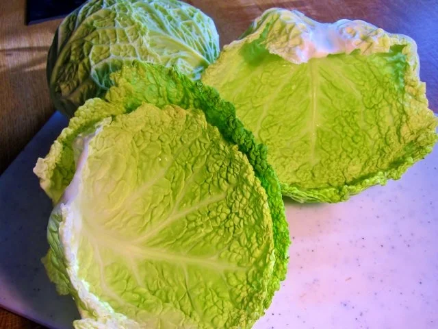 Zarte Gänseleber im Wirsingmantel - Rezept - Bild Nr. 2