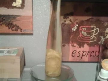 Würzöle - verschiedene - Rezept - Bild Nr. 4