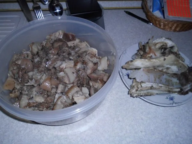 eigen gefertigte Schweinskopfsülze - Rezept - Bild Nr. 4