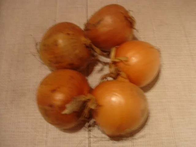 Zwiebelsuppe - Rezept - Bild Nr. 2