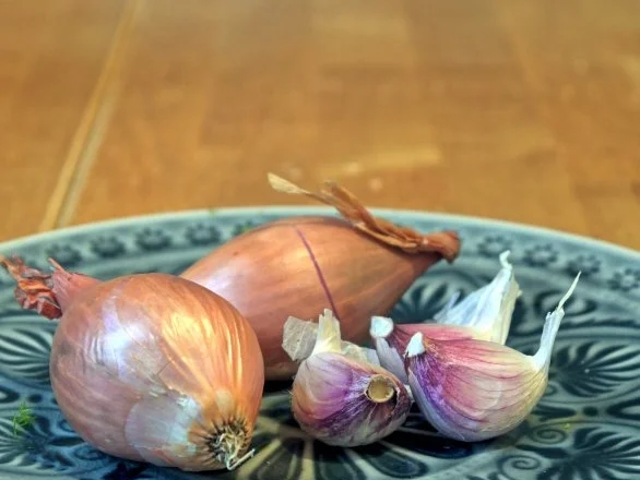 Rezept: Spaghetti mit Fenchel-Tomaten-Sauce und Büffelmozzarella Bild Nr. 6 Spaghetti mit Fenchel-Tomaten-Sauce und Büffelmozzarella - Rezept - Bild Nr. 6