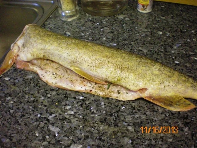 Fisch: gespickter Hecht in Riesling - Rezept - Bild Nr. 3