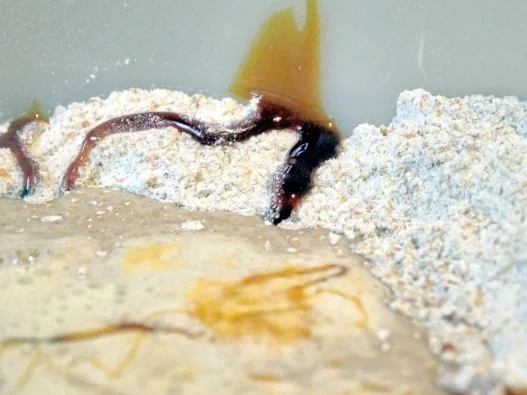 Vollkornweizenbrötchen mit Sauerteig - Rezept - Bild Nr. 5