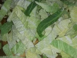 Wirsing -Curry mit Hackbällchen - Rezept - Bild Nr. 5