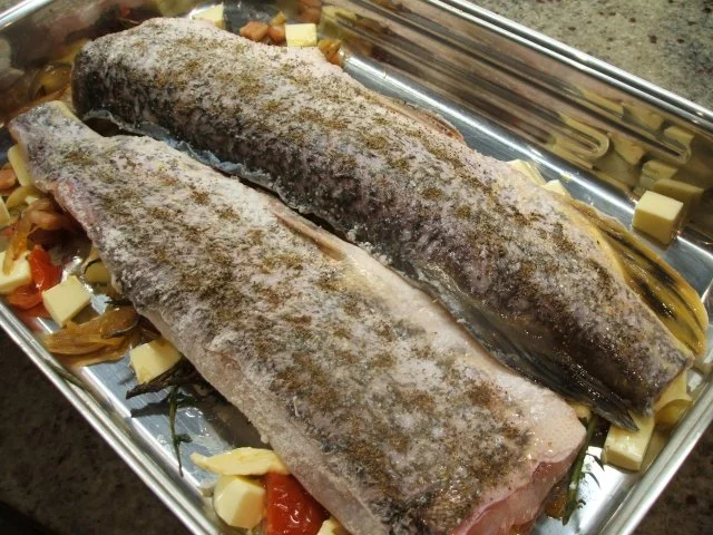 Fisch: Hechtfilets mediterran angehaucht - Rezept - Bild Nr. 10