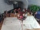 Rudolf das Rentier - Cake Pops - Rezept