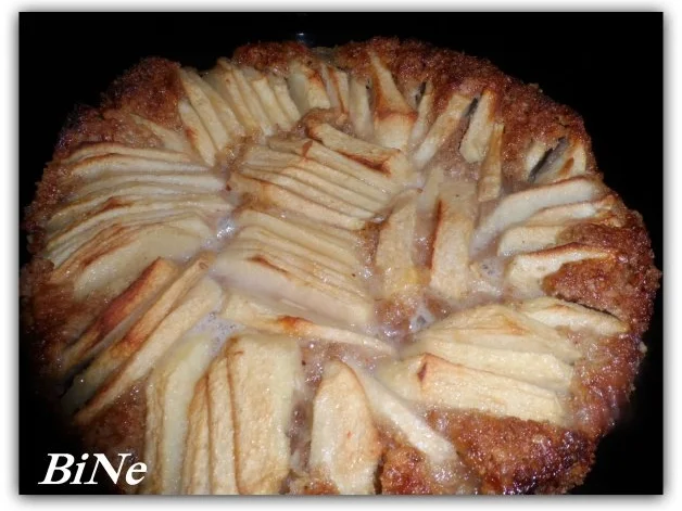 Rezept: BiNe` S APFELKUCHEN Bild Nr. 8 BiNe` S APFELKUCHEN - Rezept - Bild Nr. 8