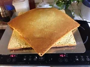 Schokoladenbisquit mit Topfenfruchtcréme - Rezept