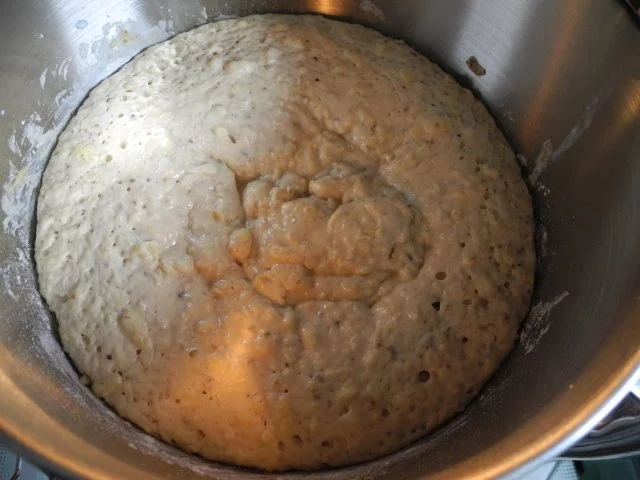 Brot & Brötchen : Kartoffel - Tomaten - Brot - Rezept - Bild Nr. 14