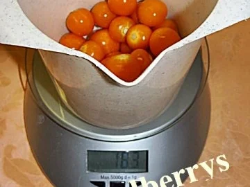 Sisserl’s  ~  * Paradiespforte * - Rezept - Bild Nr. 3