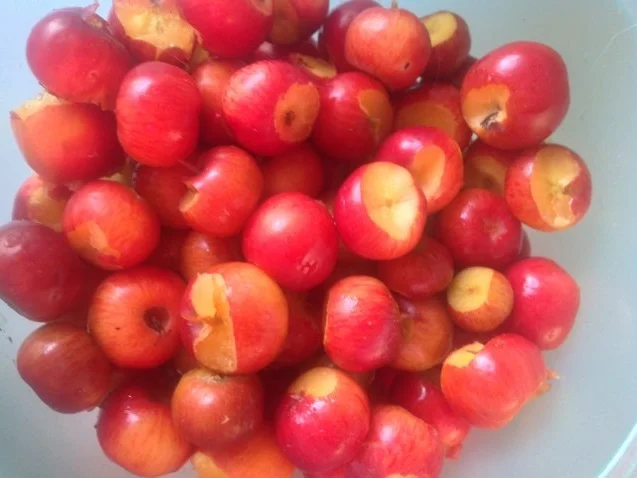 Rezept: Kürbis-Apfel Omelette Bild Nr. 3 Kürbis-Apfel Omelette - Rezept - Bild Nr. 3