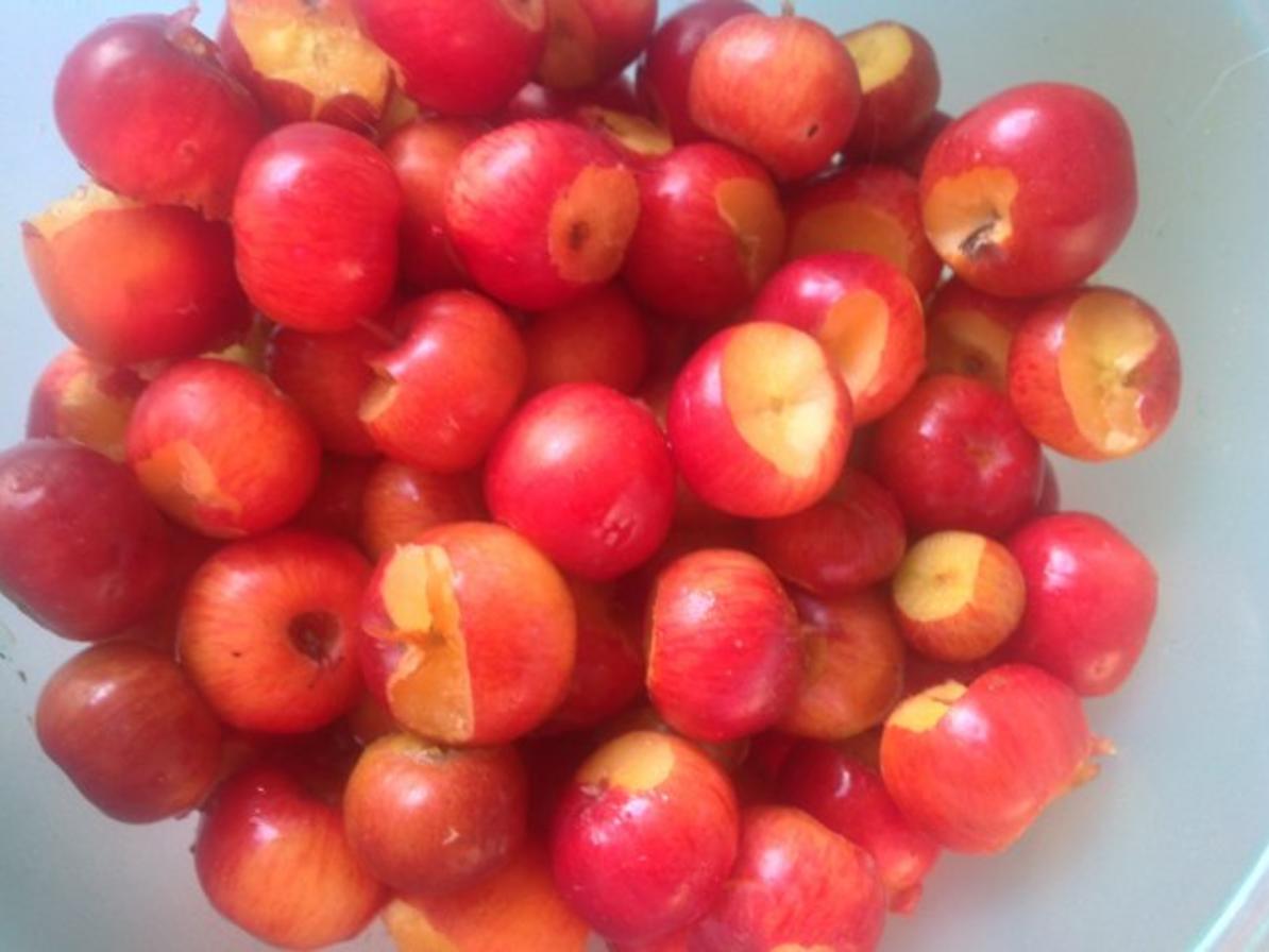 Kürbis-Apfel Omelette - Rezept mit Bild - kochbar.de Kürbis-Apfel Omelette - Rezept mit Bild - kochbar.de