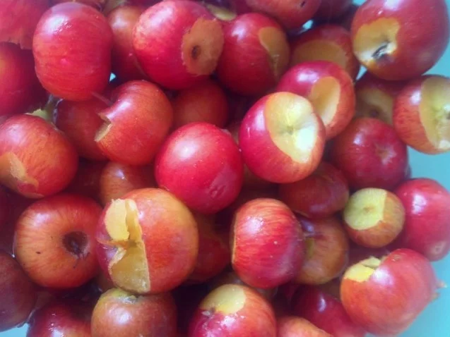 Rezept: Kürbis-Apfel Omelette Bild Nr. 4 Kürbis-Apfel Omelette - Rezept - Bild Nr. 4