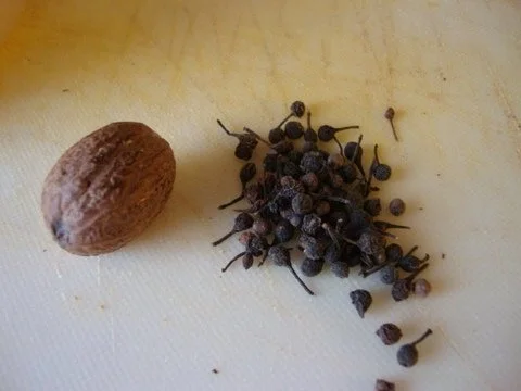 legierte Parmesansuppe - Rezept - Bild Nr. 9