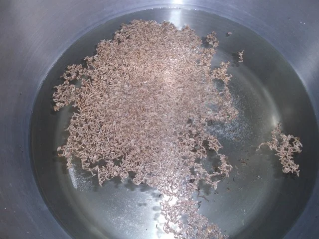 Rezept: Auflauf: Gehacktes mit Kraut und Speck Bild Nr. 3 Auflauf: Gehacktes mit Kraut und Speck - Rezept - Bild Nr. 3