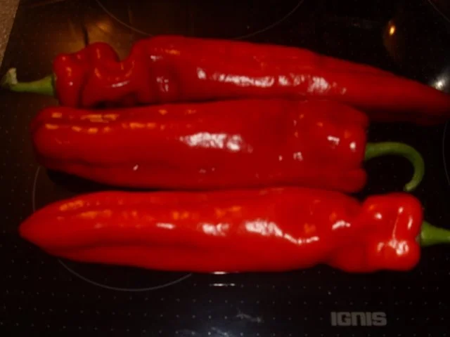 Gefüllte Spitzpaprika mit Käsewürstchen und Tomatensoße - Rezept - Bild Nr. 2