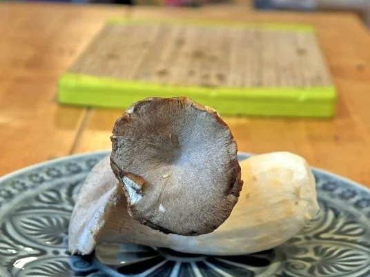 Flammkuchen mit Kräuterseitlingen - Rezept - Bild Nr. 3