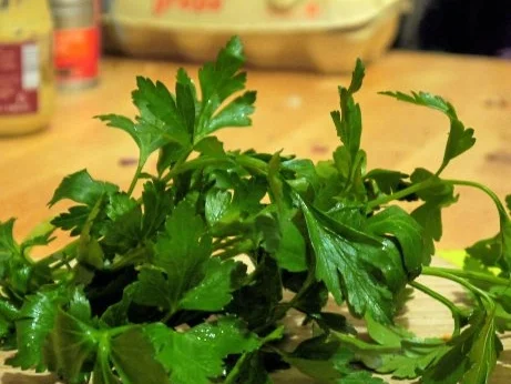 Flammkuchen mit Kräuterseitlingen - Rezept - Bild Nr. 8