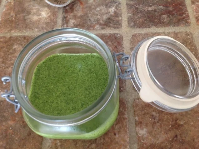 Mojo verde - Rezept - Bild Nr. 2