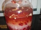 Getränke:  Granatapfellikör - Rezept
