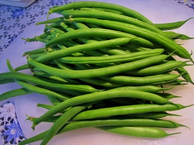 Lammkoteletts und grüne Bohnen ... - Rezept - Bild Nr. 5