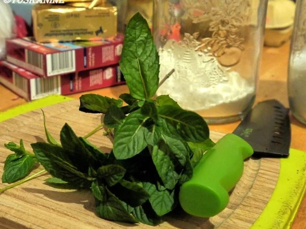 Rezept: Sablés mit Minze und Schokolade Bild Nr. 2 Sablés mit Minze und Schokolade - Rezept - Bild Nr. 2