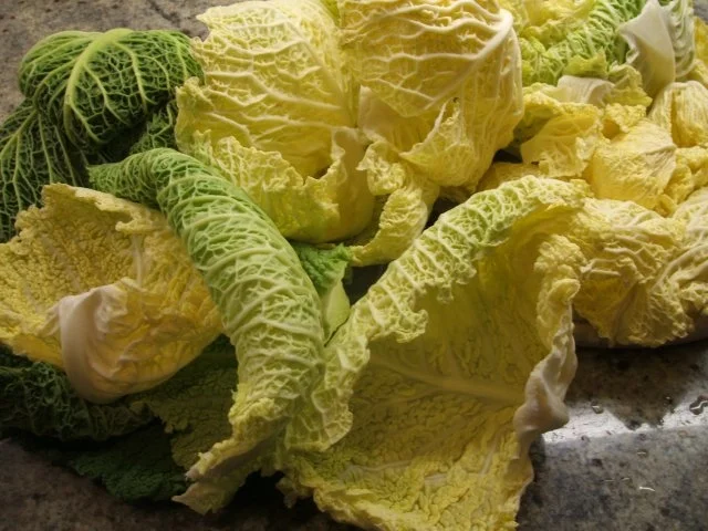 Rezept: Fleisch: Hackbraten mit Wirsinggemüse Bild Nr. 9 Fleisch: Hackbraten mit Wirsinggemüse - Rezept - Bild Nr. 9