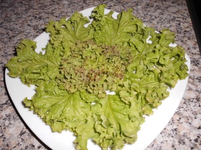 Rezept: Forellenfilet mit Estragonsahne>> Bild Nr. 3 Forellenfilet mit Estragonsahne>> - Rezept - Bild Nr. 3