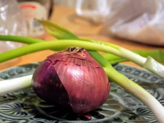 Rezept: Hähnchenbrust auf Tomatensauce mit Gremolata und würzigem Quinoa Bild Nr. 12 Hähnchenbrust auf Tomatensauce mit Gremolata und würzigem Quinoa - Rezept - Bild Nr. 12
