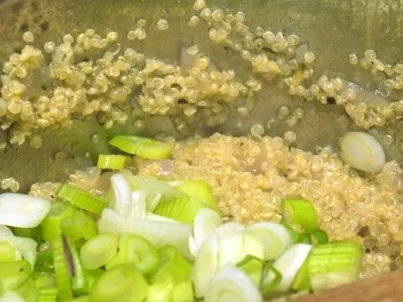 Rezept: Hähnchenbrust auf Tomatensauce mit Gremolata und würzigem Quinoa Bild Nr. 14 Hähnchenbrust auf Tomatensauce mit Gremolata und würzigem Quinoa - Rezept - Bild Nr. 14