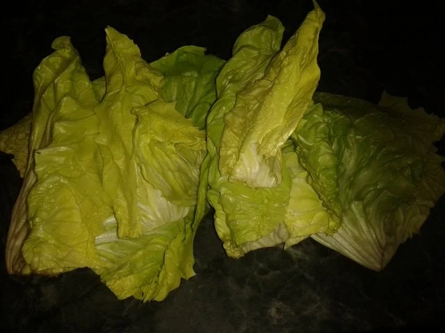 Rezept: Zuckerhut pikant gefüllt Bild Nr. 2 Zuckerhut pikant gefüllt - Rezept - Bild Nr. 2