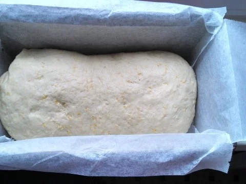 Corn Bread   /   Mais Brot / Brötchen - Rezept - Bild Nr. 5