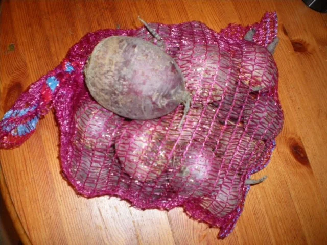 בורשט - Borscht - Rezept - Bild Nr. 3