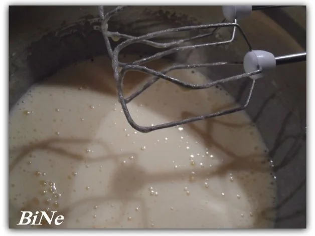 BiNe` S SCHOKOLADENBROWNIES MIT WALNUESSEN - Rezept - Bild Nr. 3