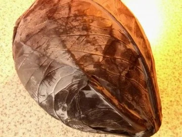 Apfel-Rot-/Blaukraut - Rezept - Bild Nr. 2