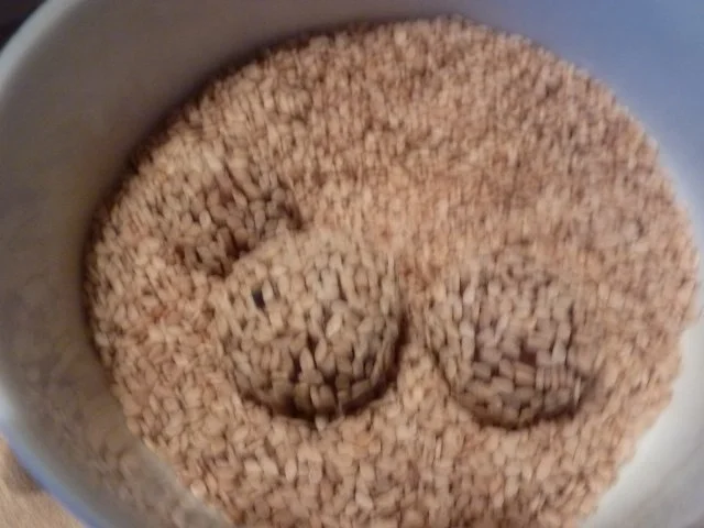 Weihnachten: Schokoladen-Sesam-Plätzchen - Rezept - Bild Nr. 9