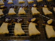 Weihnachtsgebäck : Unter Palmen  ! - Rezept